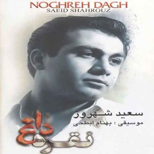 سعید شهروز کی بود کی بود