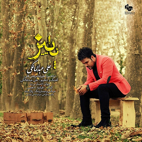 علی عبدالمالکی پاییز