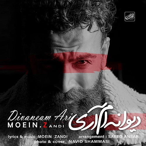 معین زد دیوانم آری