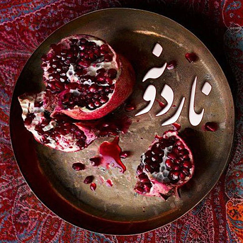 علی زند وکیلی نار دونه علی زند وکیلی نار دونه