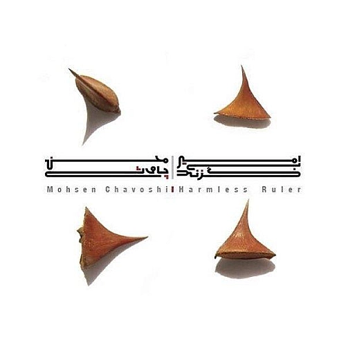 محسن چاوشی حاکم بی ضرر