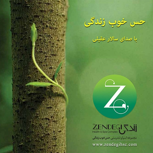سالار عقیلی حس خوبه زندگی