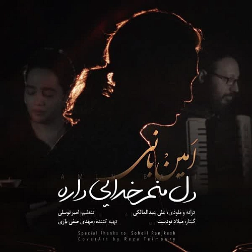 امین بانی دل منم خدایی داره امین بانی دل منم خدایی داره