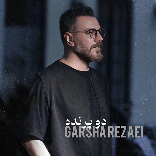 گرشا رضایی دو پرنده گرشا رضایی دو پرنده