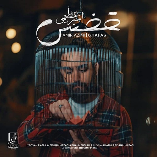 امیر عظیمی قفس