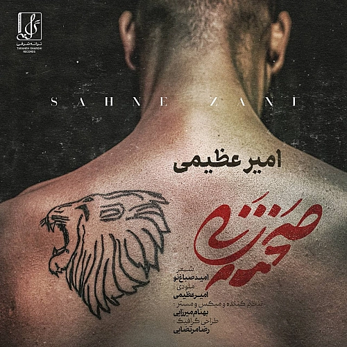امیر عظیمی سهنه زنی