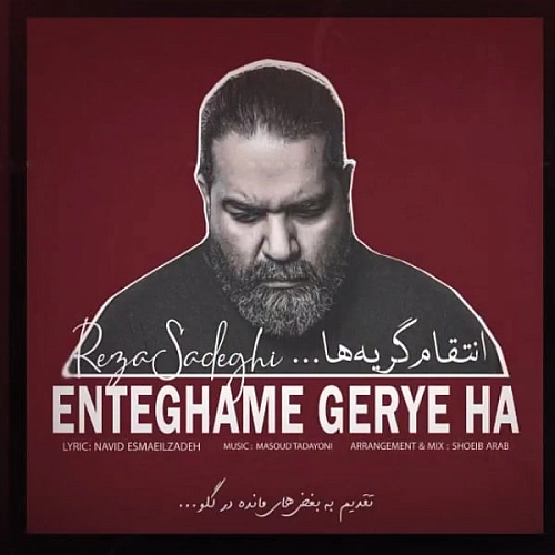 رضا صادقی انتقام گریه ها