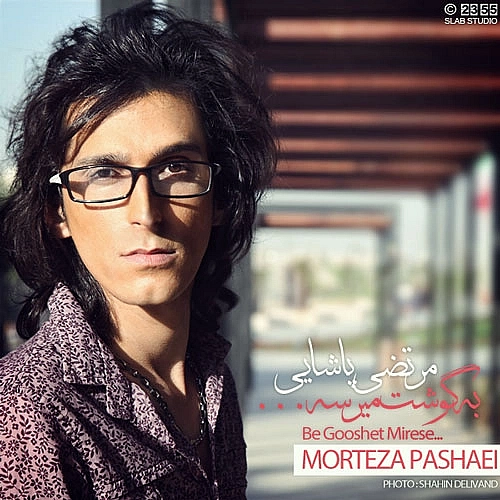 مرتضی پاشایی به گوشت میرسه مرتضی پاشایی به گوشت میرسه