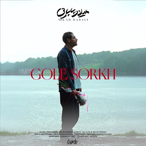 میلاد بابایی گل سرخ