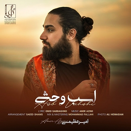 امیر عظیمی اسب وحشی