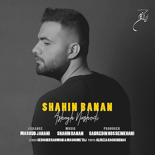 شاهین بنان عاشق نبودی