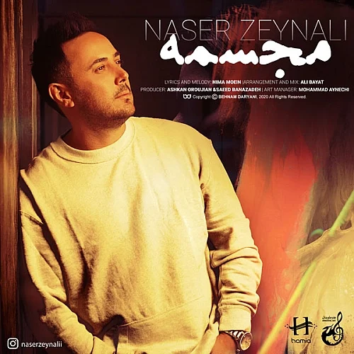 ناصر زینلی مجسمه ناصر زینلی مجسمه