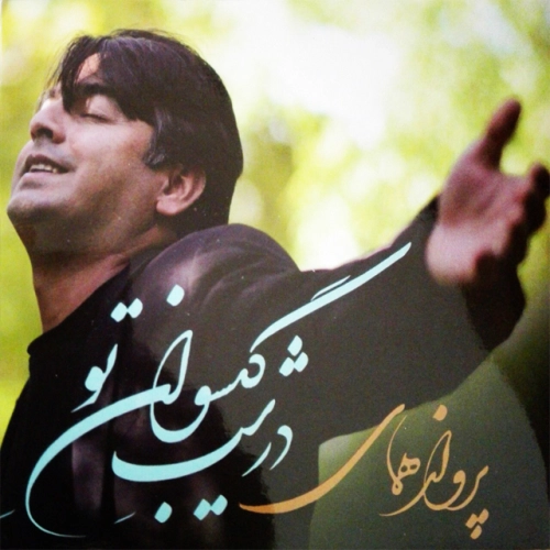 پرواز همای زبان نگاه